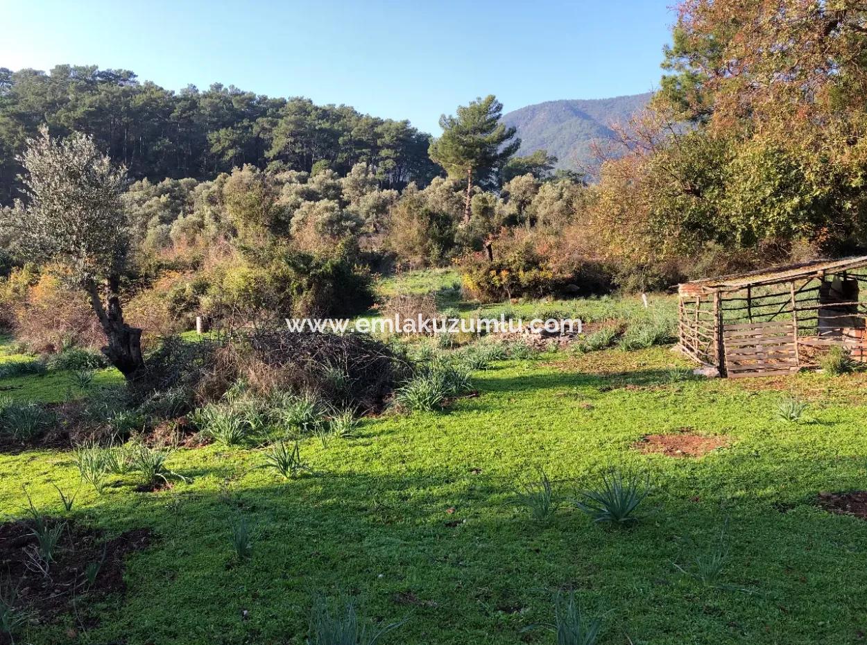 Ekincik Land For Sale 10,038M2 Land For Sale Field