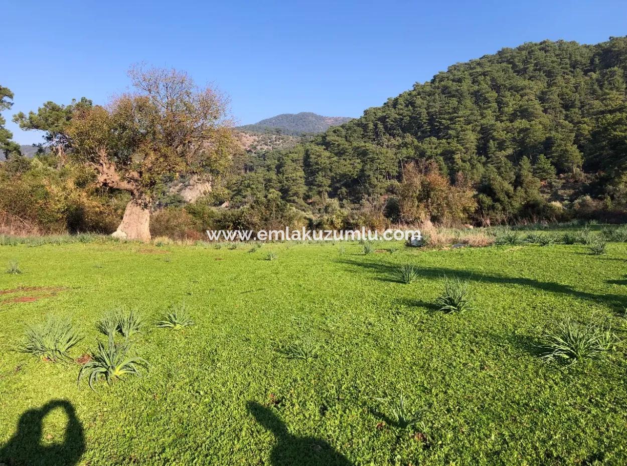 Ekincik Land For Sale 10,038M2 Land For Sale Field