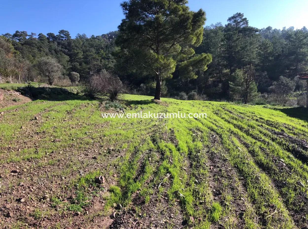 Gokbel Land For Sale 8000M2 Land For Sale With Full Sea View