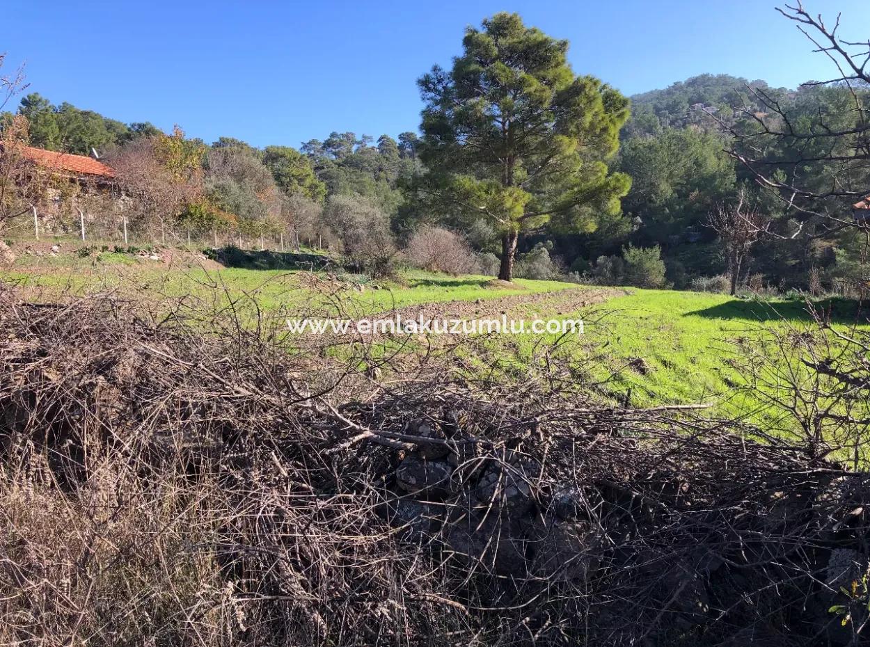 Gokbel Land For Sale 8000M2 Land For Sale With Full Sea View