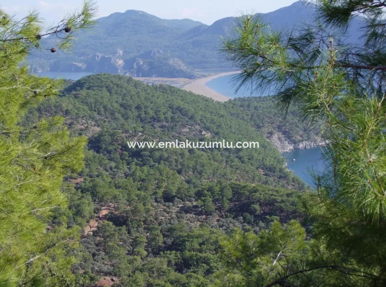 Real Estate Bargain Plot For Sale With Sea Views In Çandır Call In Ekincik