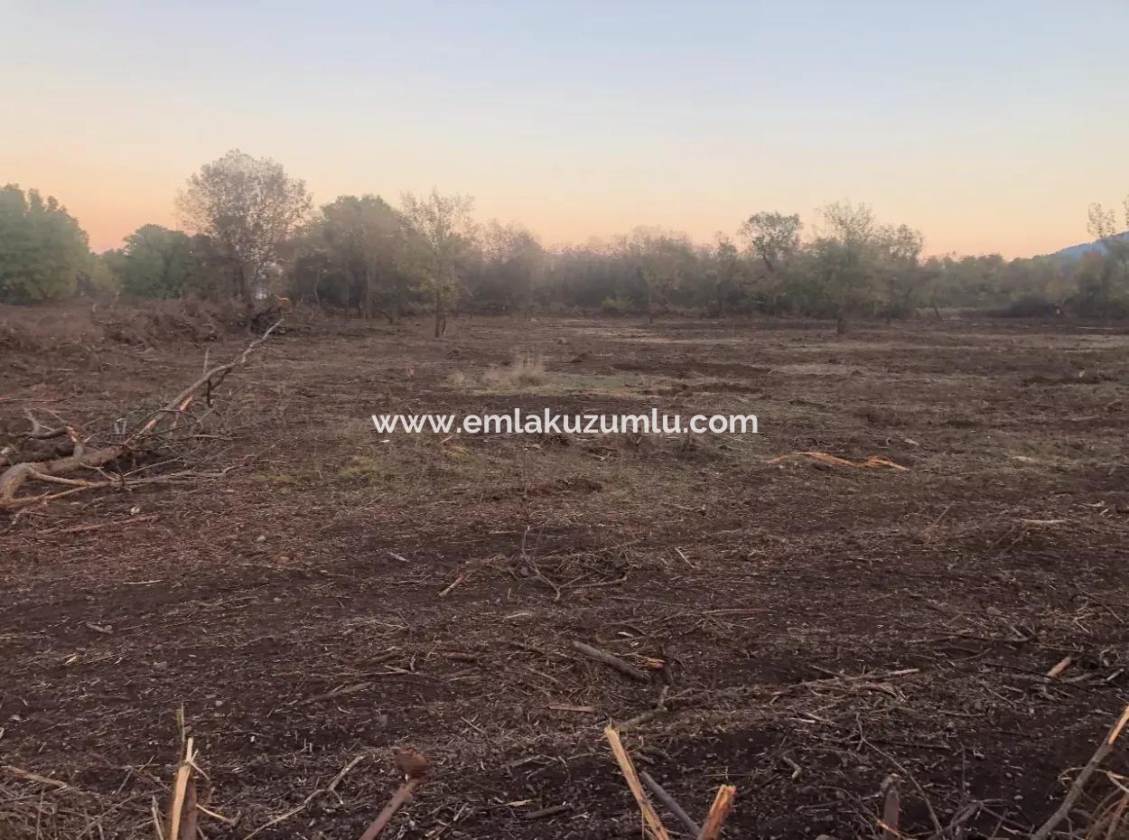 Sultaniye Land For Sale Near 10577M2 Lake Land For Sale