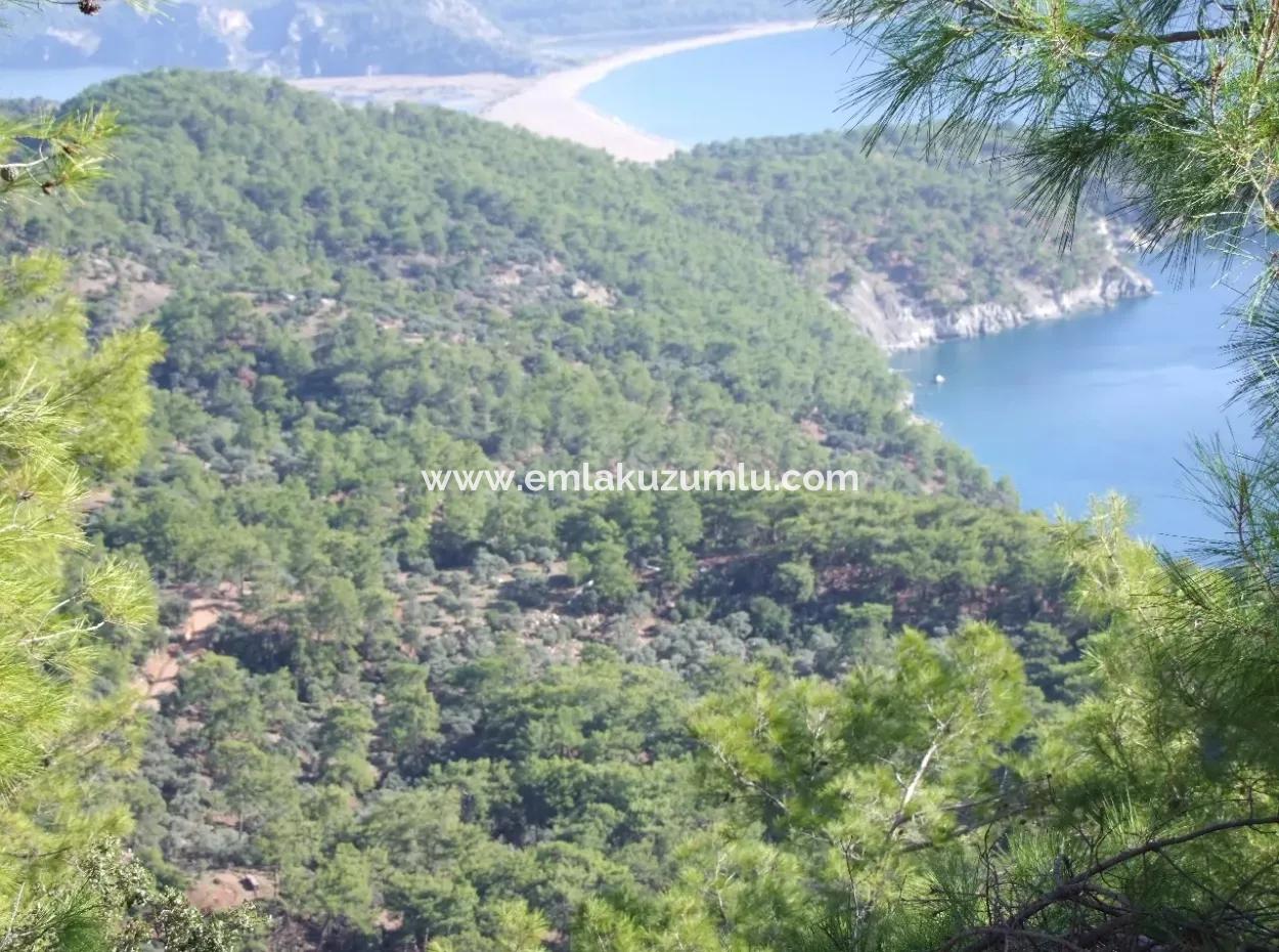 Real Estate Bargain Plot For Sale With Sea Views In Çandır Call In Ekincik