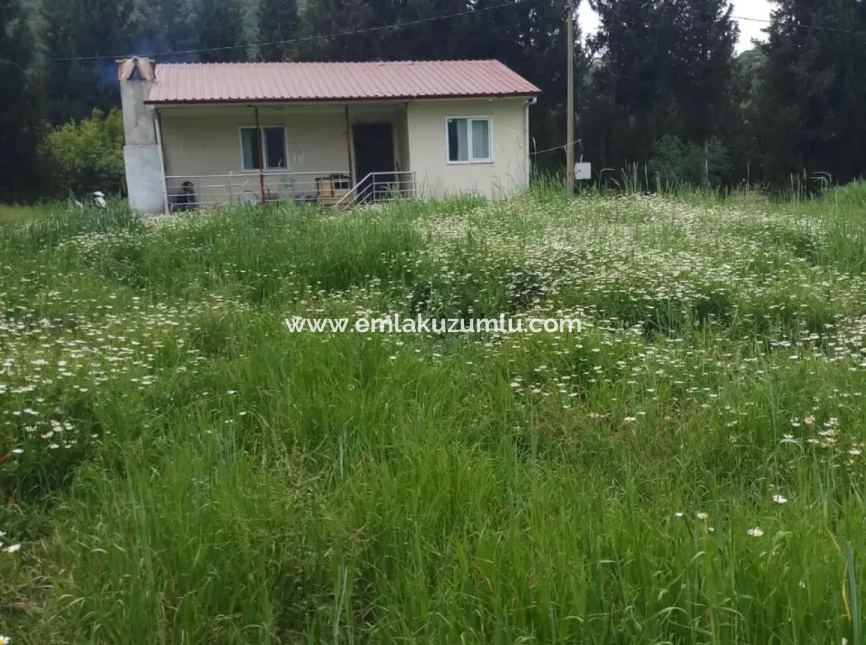 Land For Sale In Çamlida