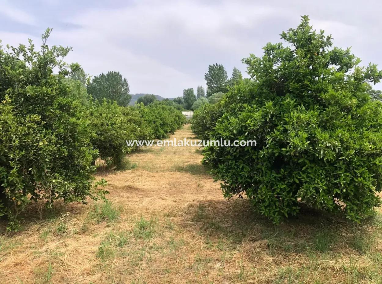 Land For Sale In Sourliyurtda 1085M2