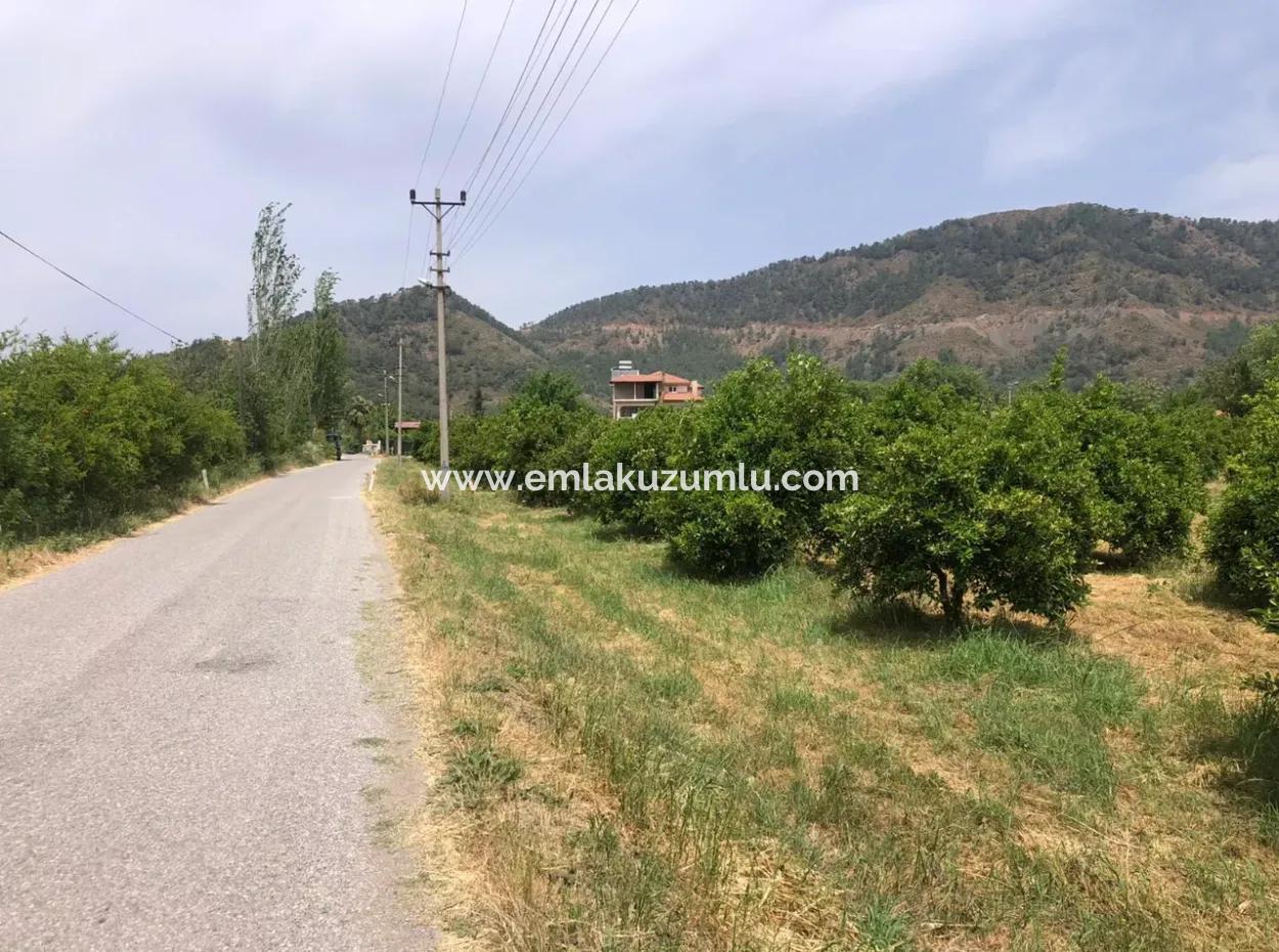 Land For Sale In Sourliyurtda 1085M2