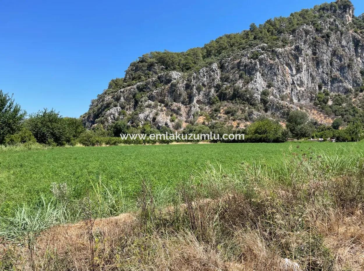 Okçular Land For Sale In Marmarlı 6500M2