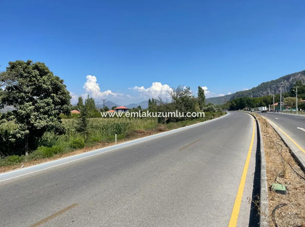 Dalyan Main Road Zero Land For Sale 8115M2 Commercial Land For Sale