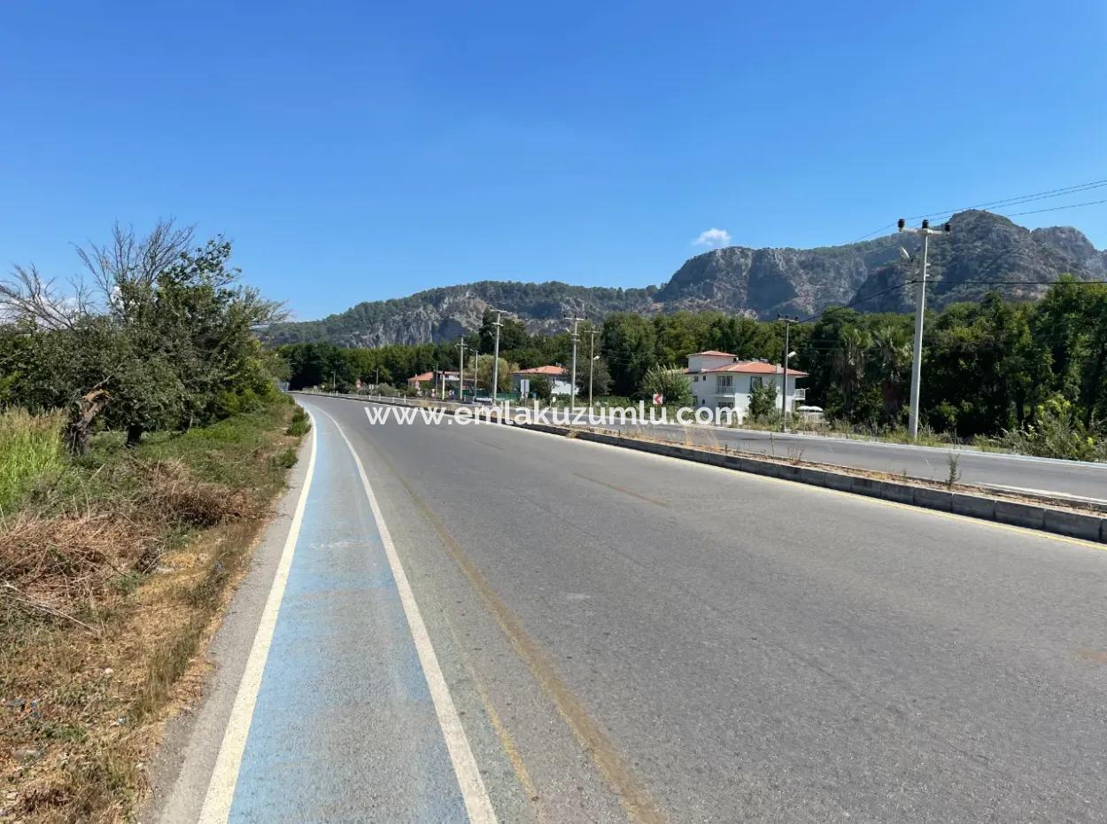 Dalyan Main Road Zero Land For Sale 8115M2 Commercial Land For Sale