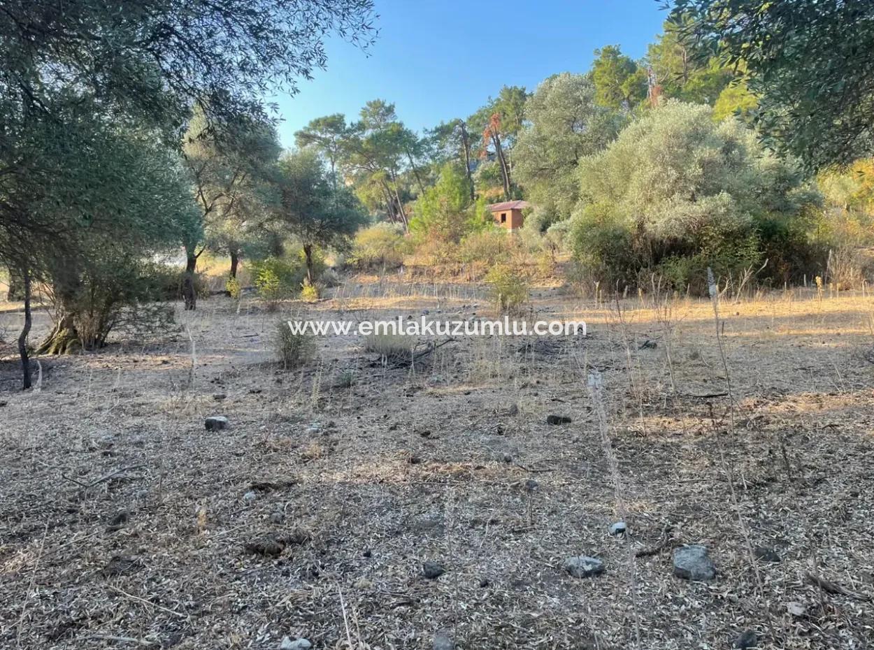 Çandir 3,800M2 Land For Sale