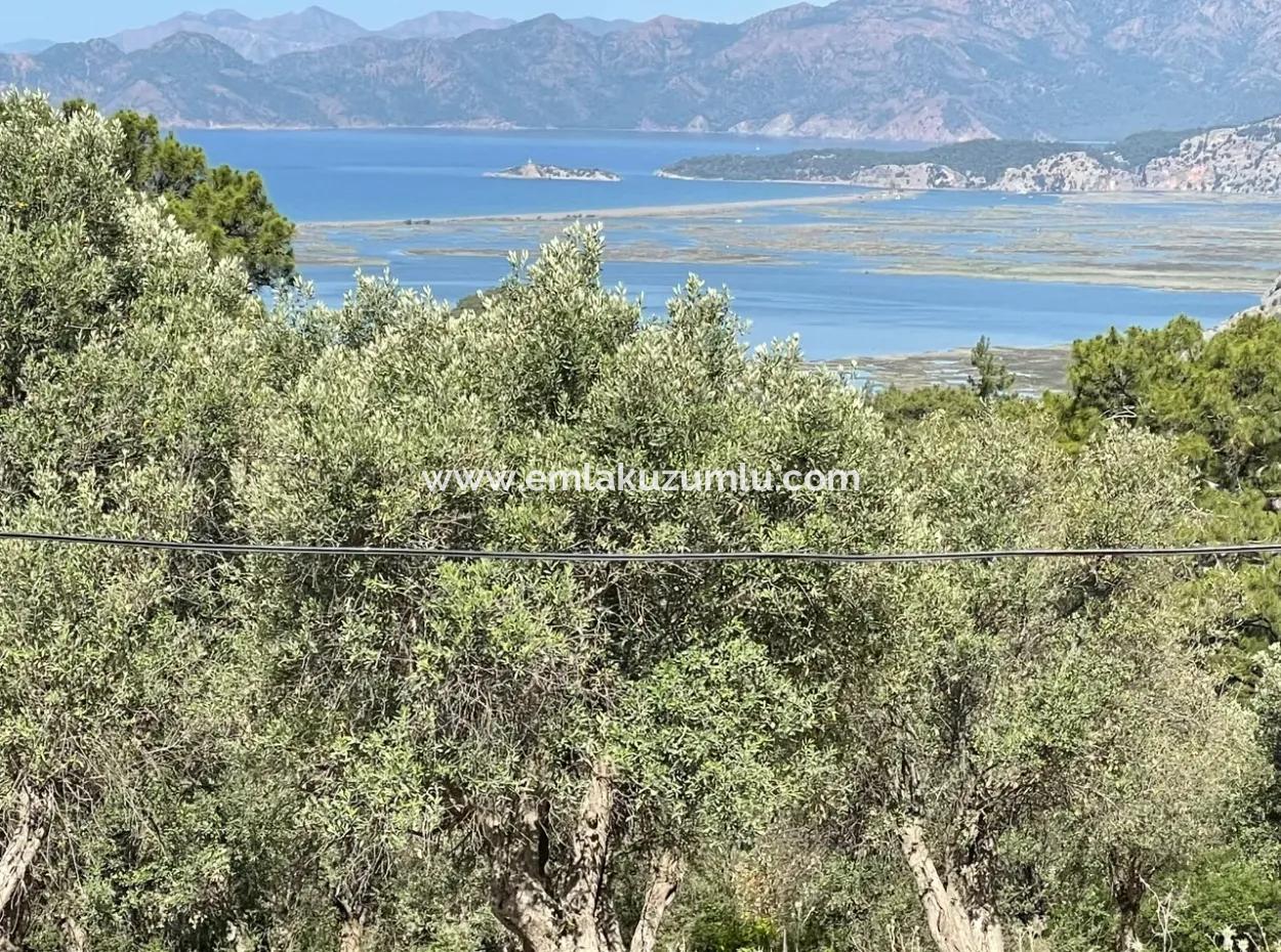 Land For Sale With Sea View In Gokbel