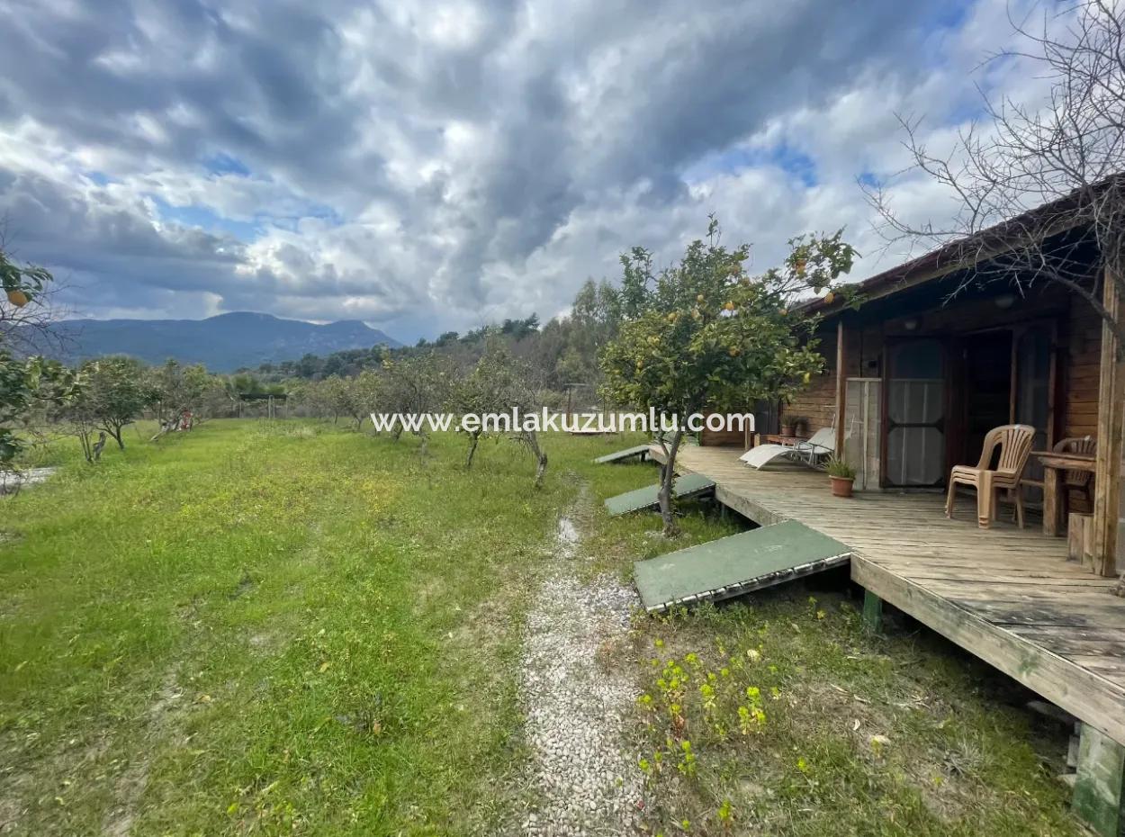 Dalyan Boutique Hotel For Sale Bungolevler For Sale In 11.000M2 Plot