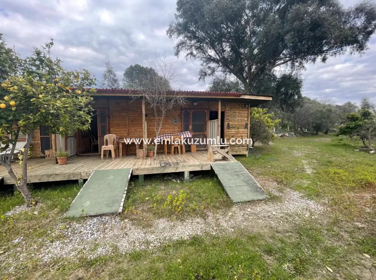 Dalyan Boutique Hotel For Sale Bungolevler For Sale In 11.000M2 Plot