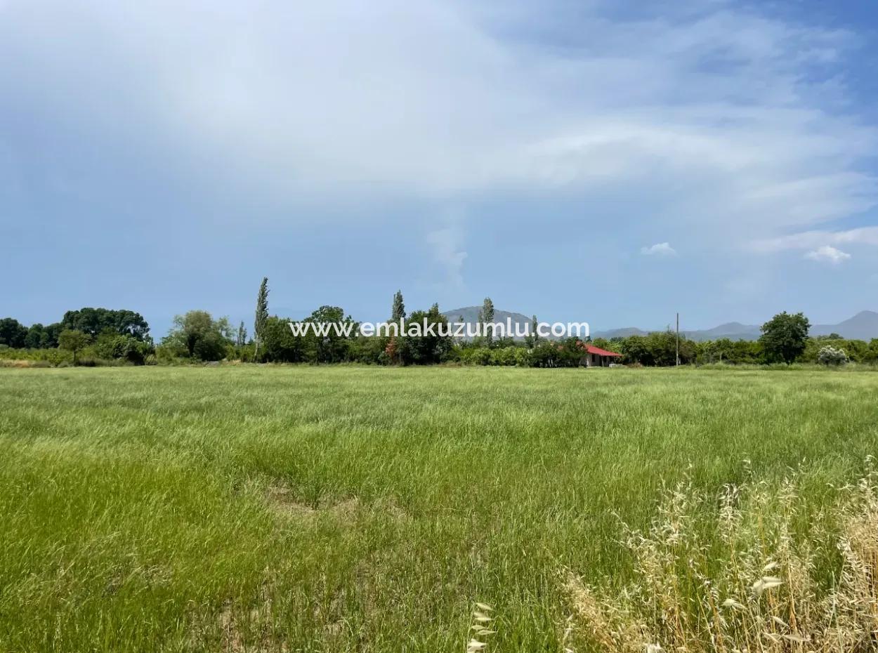 4595M2  Land For Sale In Okçular Marmarlı