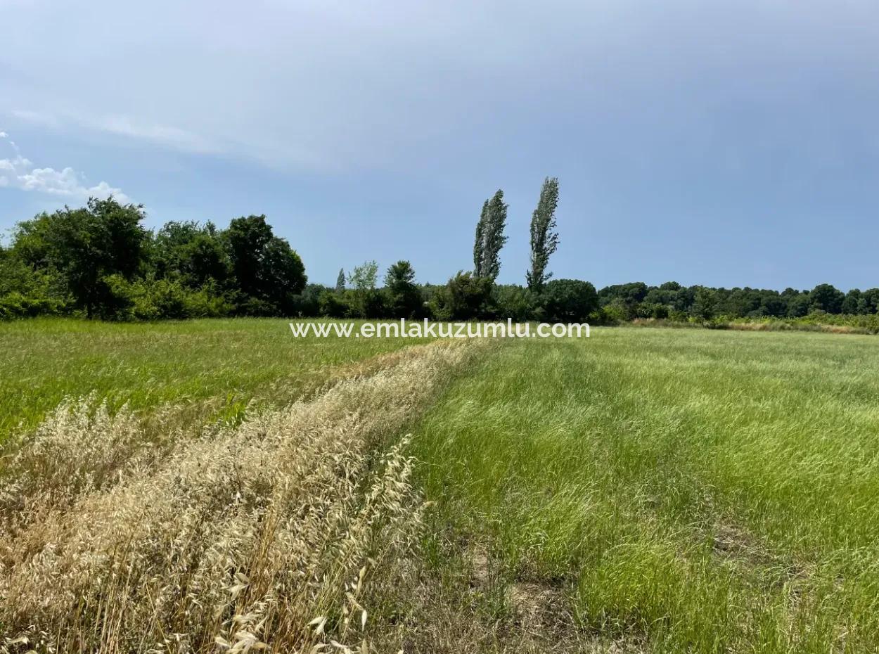 4595M2  Land For Sale In Okçular Marmarlı