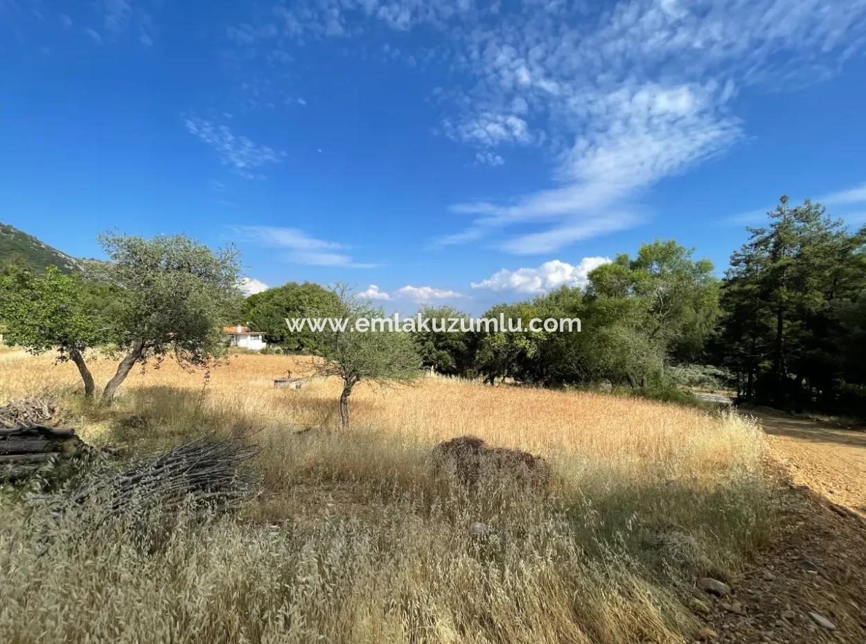 Land For Sale In Ula Armutchuk With 501M2 Zoning
