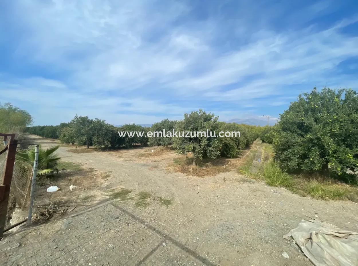 4000M2 Land For Sale Zoned In Village Built-Up Area In Tepearasin