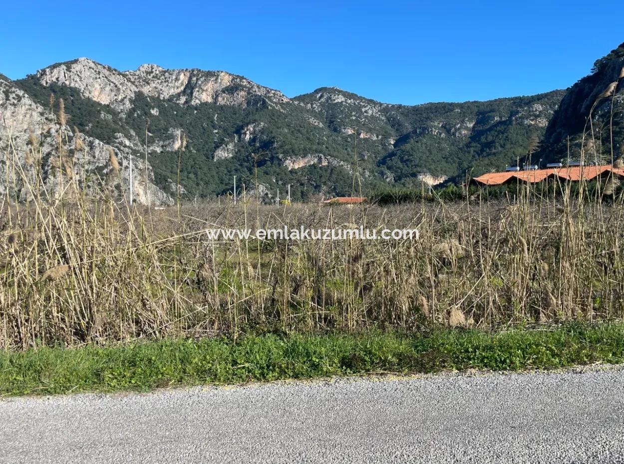 Dalyan Iztuzu Road Zero 5216M2 Field Plot For Sale