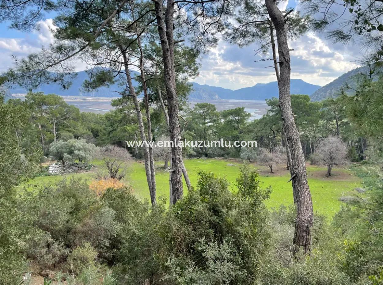 10,707M2 2B Field For Sale With Sea Lake View In Çandır