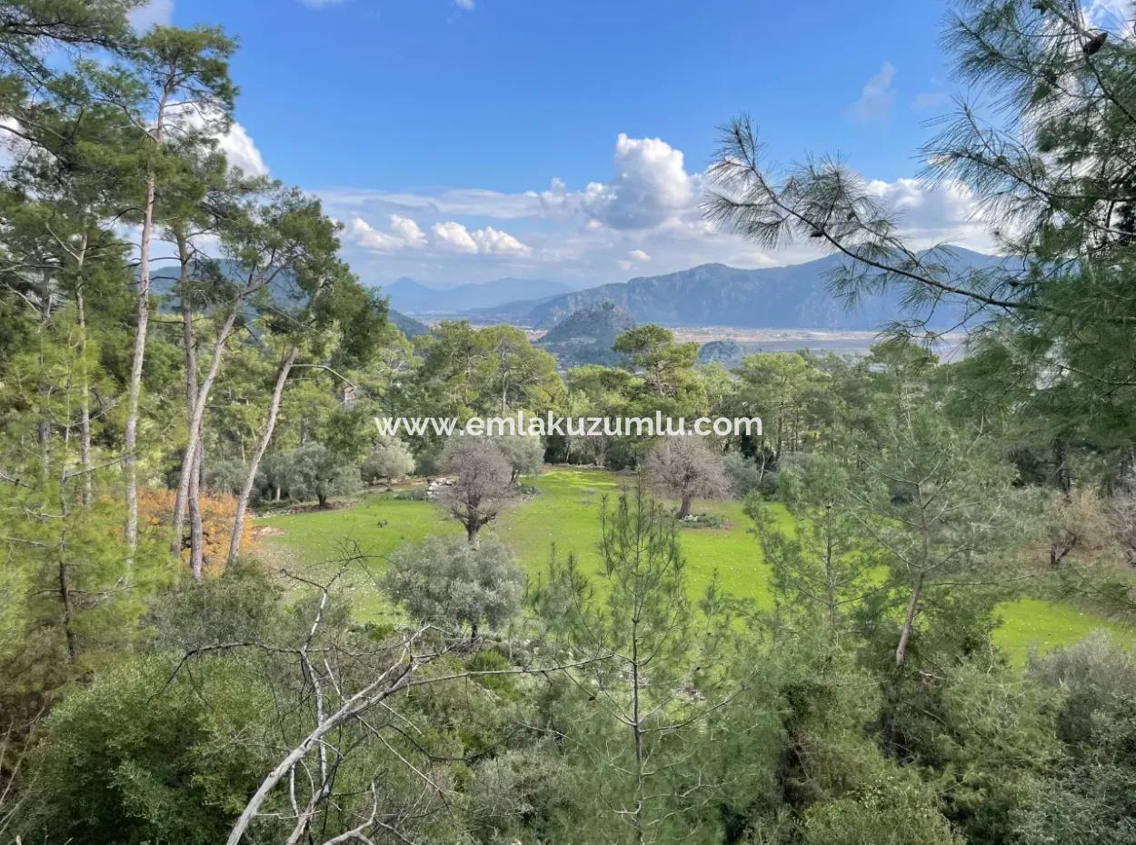 10,707M2 2B Field For Sale With Sea Lake View In Çandır