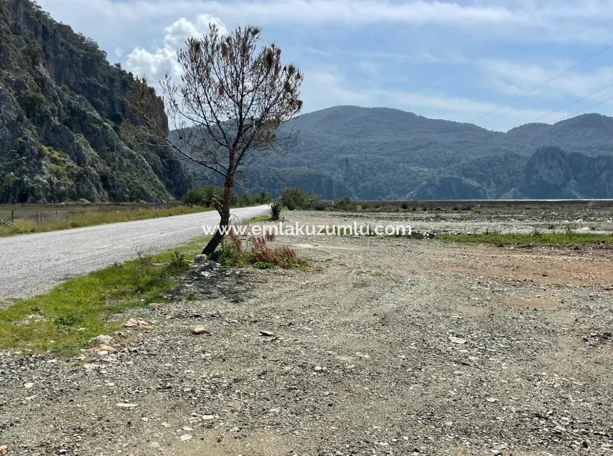 Dalyan Iztuzu Beach Road Zero 19,600M2 Field Land For Sale