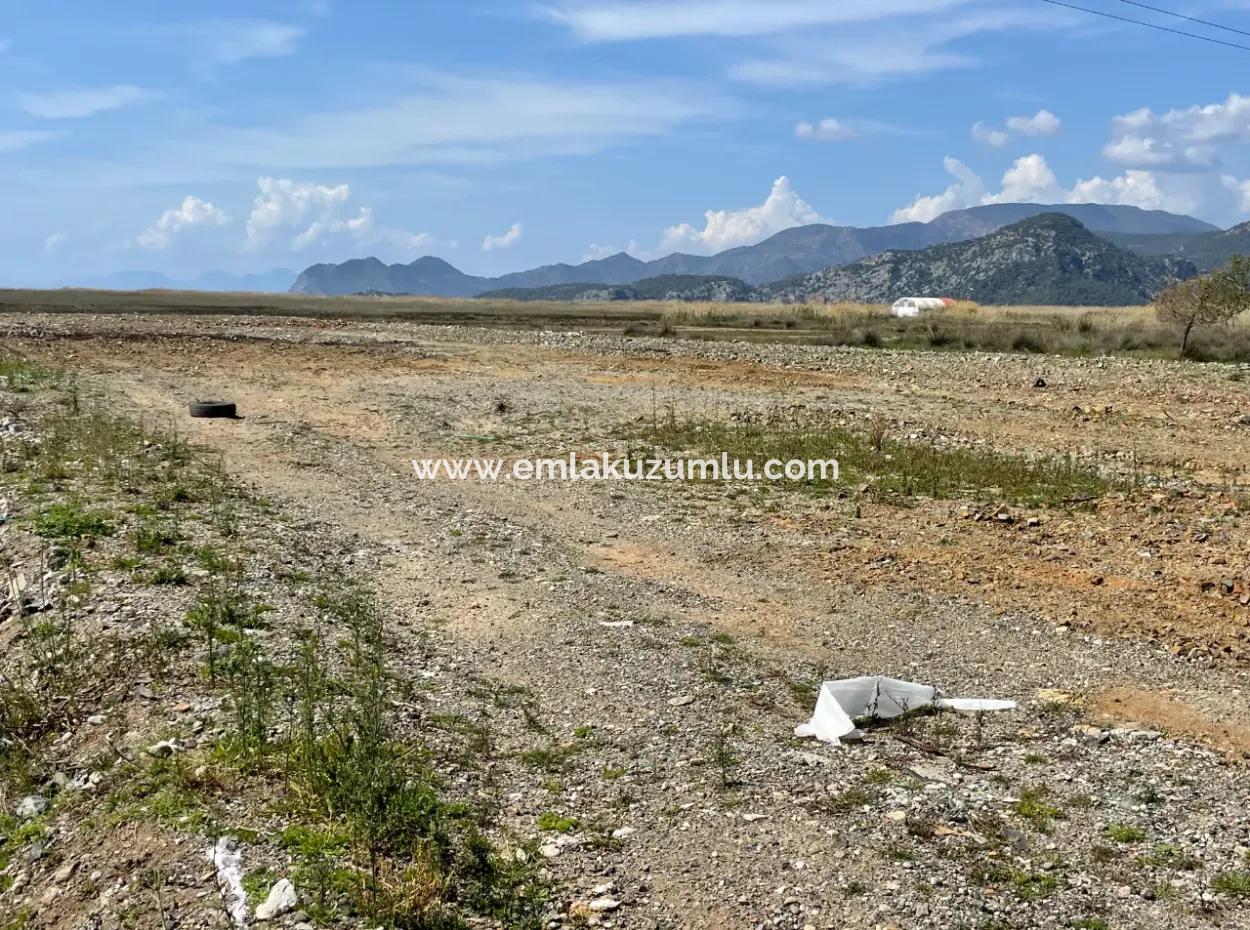 Dalyan Iztuzu Beach Road Zero 19,600M2 Field Land For Sale