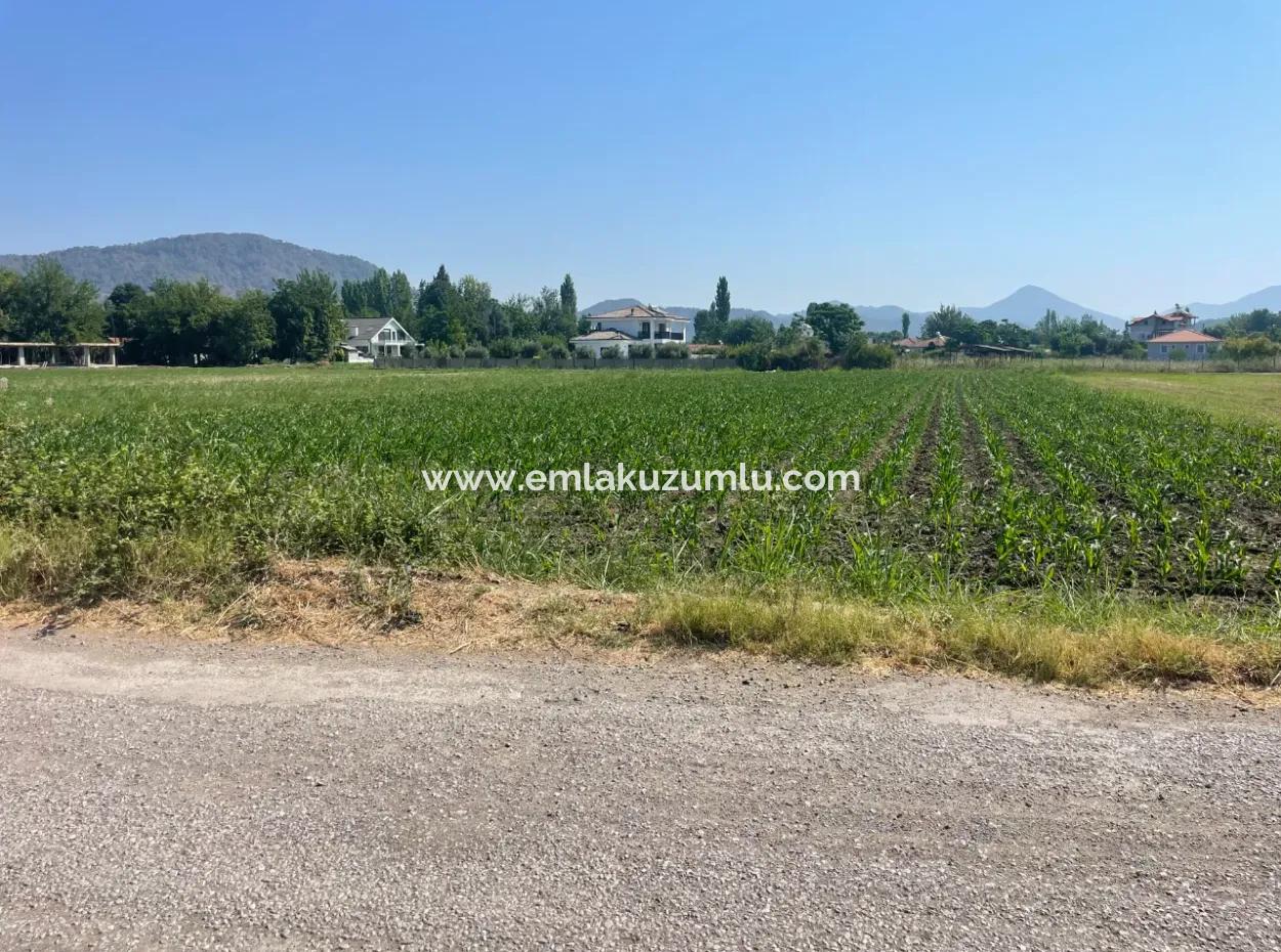 Land For Sale Of 2715M2 In The Built-Up Area Of The Village In Okçular