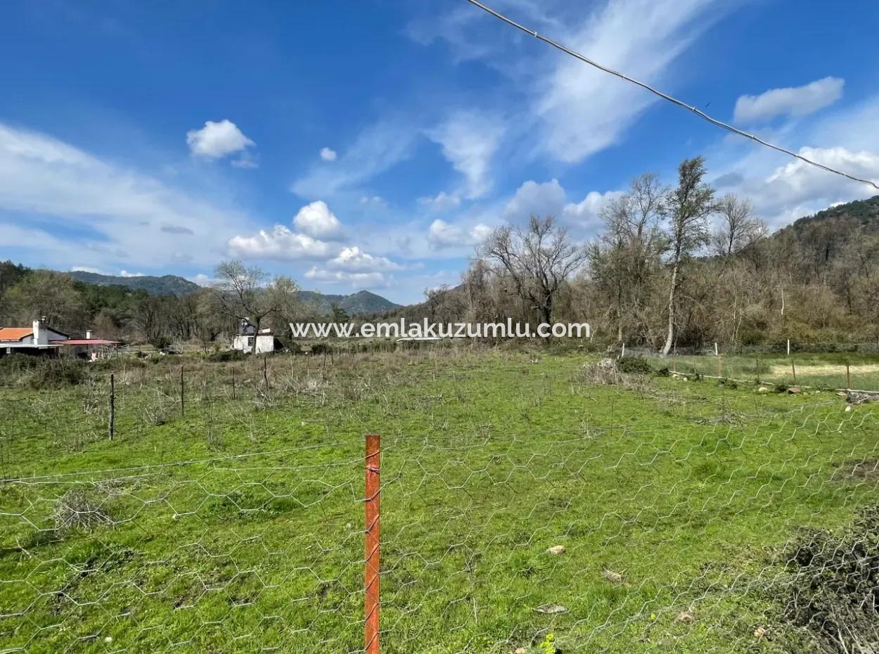 Sultaniye Büyükkaraç Mahallesin For Sale Field