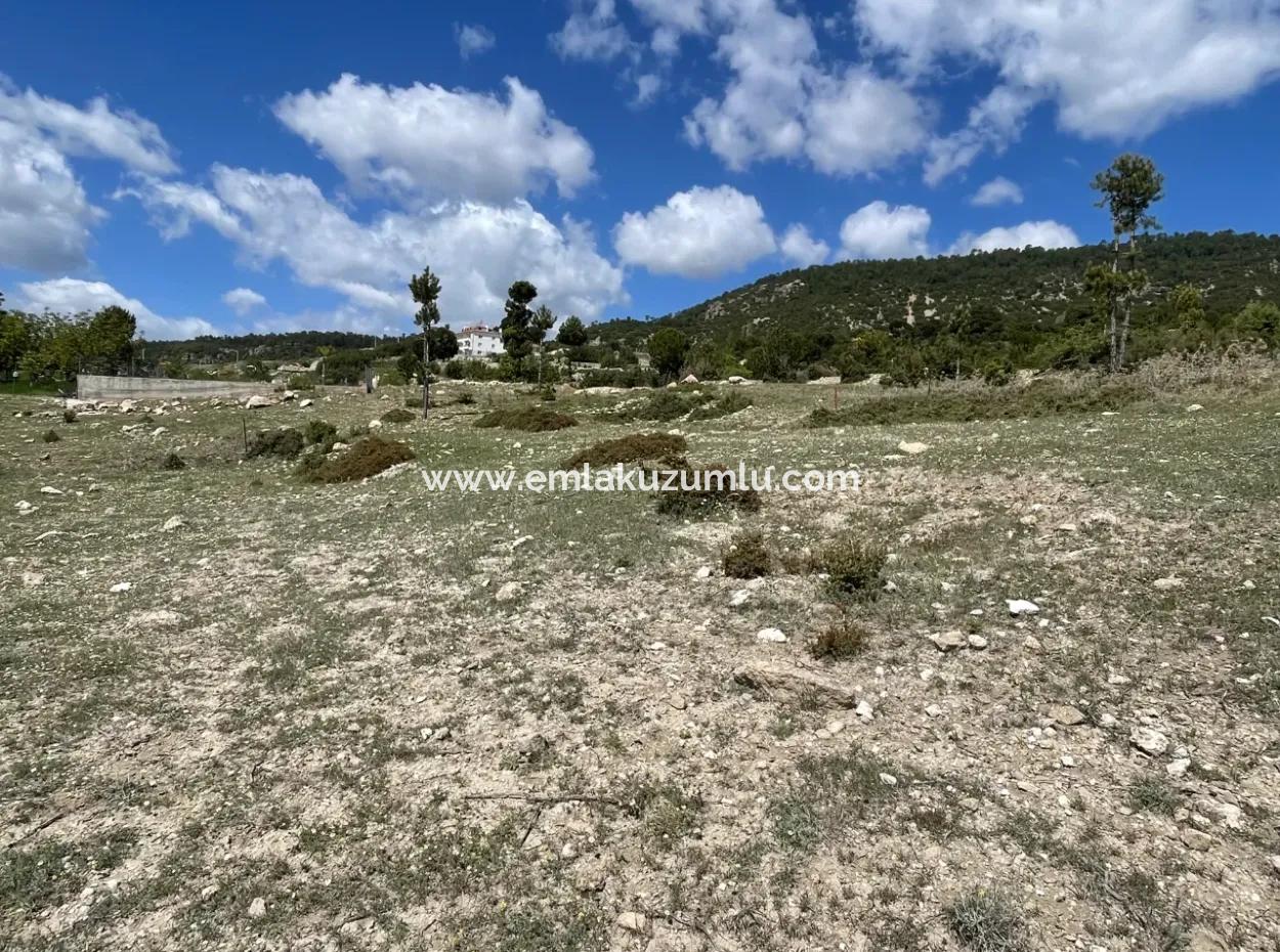3 Plots Of Land For Sale In Çamelin