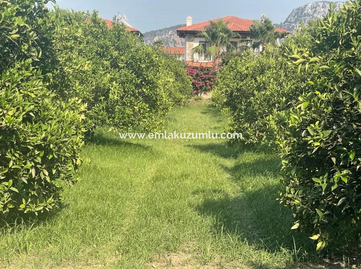 Land For Sale In Gulpinar, Dalyan 722M2