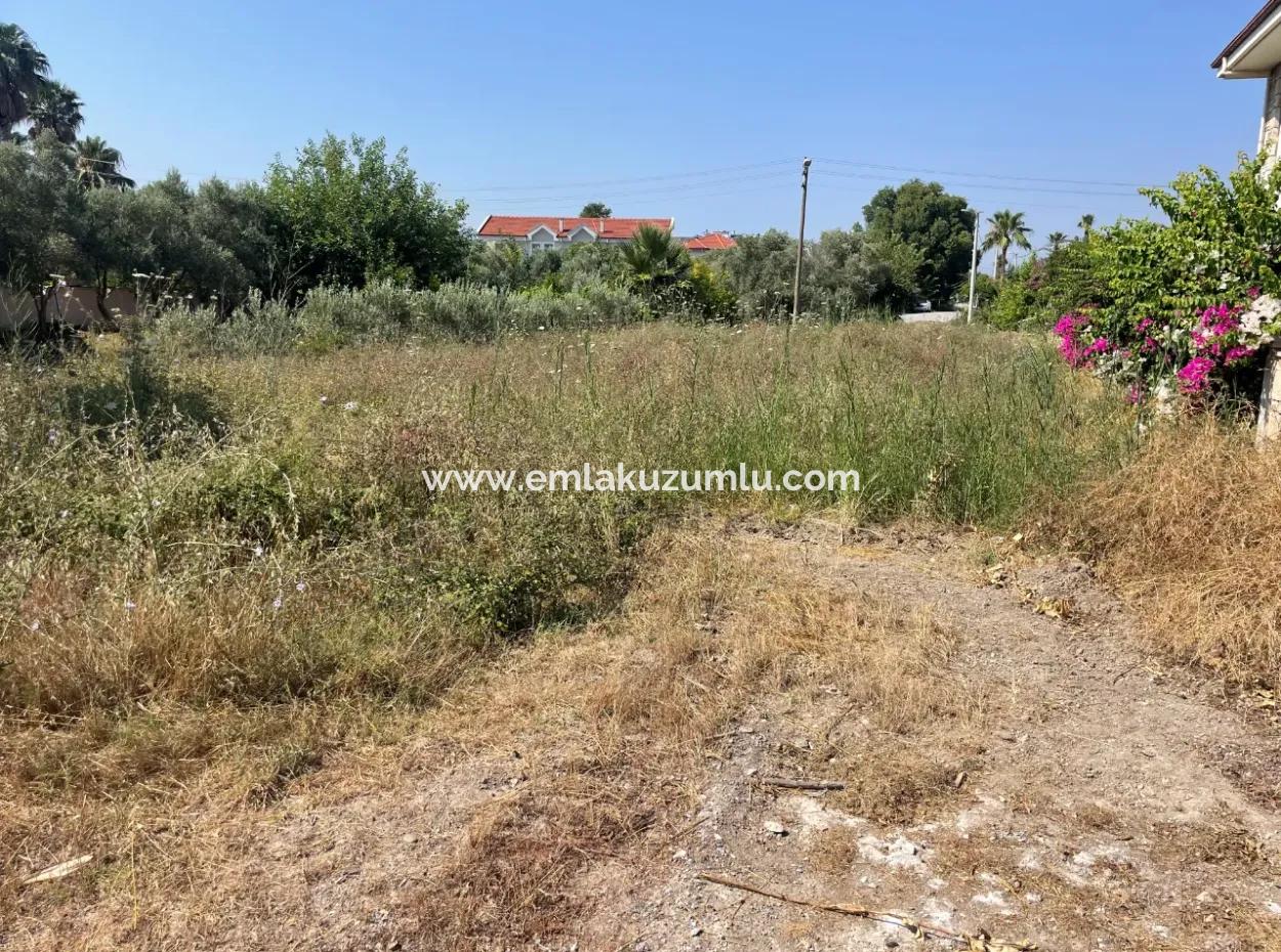 Land For Sale In Dalyan Gülpınar 500M2