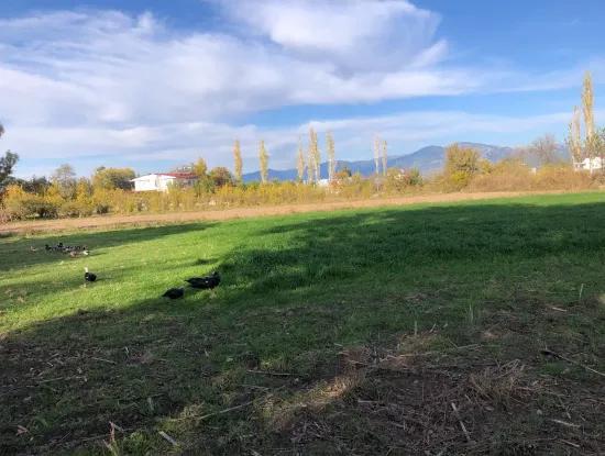 Land For Sale In Dalyan 2540M2