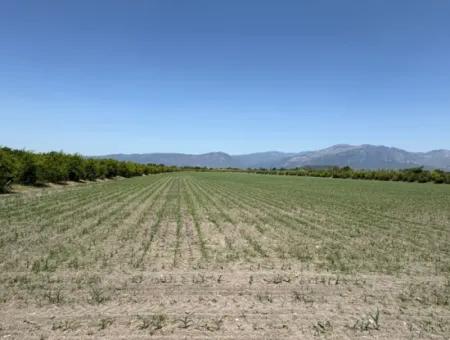 46,550M2 Land For Sale In Tepearası