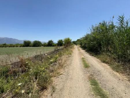 46,550M2 Land For Sale In Tepearası