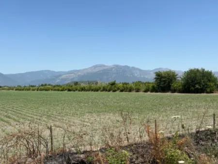 46,550M2 Land For Sale In Tepearası