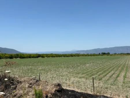 46,550M2 Land For Sale In Tepearası
