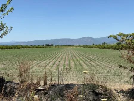 46,550M2 Land For Sale In Tepearası
