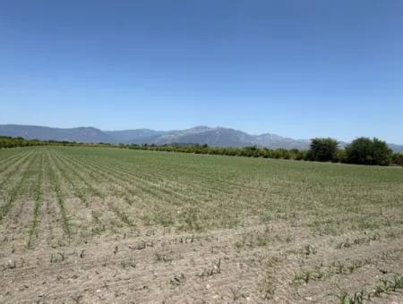 46,550M2 Land For Sale In Tepearası