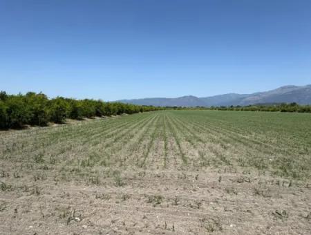 46,550M2 Land For Sale In Tepearası