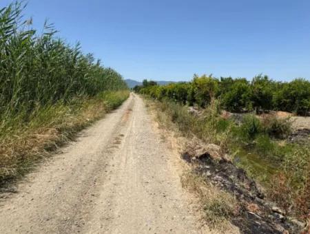 46,550M2 Land For Sale In Tepearası