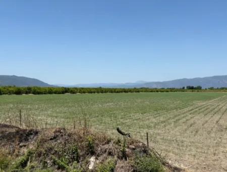 46,550M2 Land For Sale In Tepearası