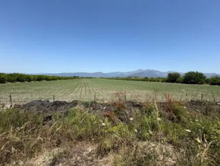 46,550M2 Land For Sale In Tepearası