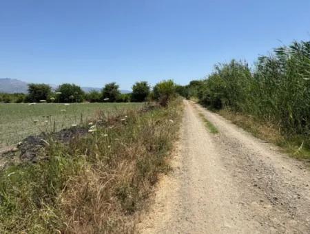 46,550M2 Land For Sale In Tepearası