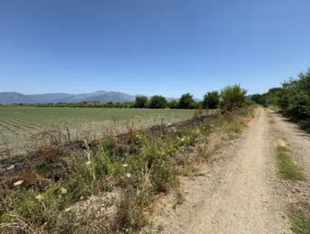 46,550M2 Land For Sale In Tepearası