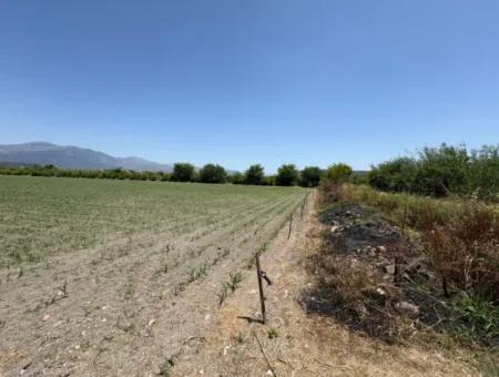 46,550M2 Land For Sale In Tepearası