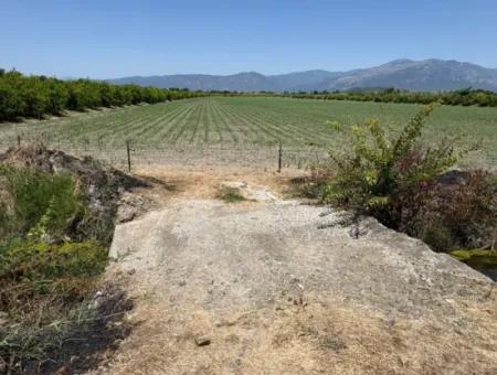 46,550M2 Land For Sale In Tepearası