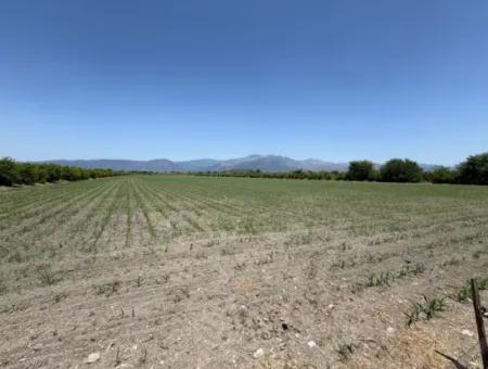 46,550M2 Land For Sale In Tepearası