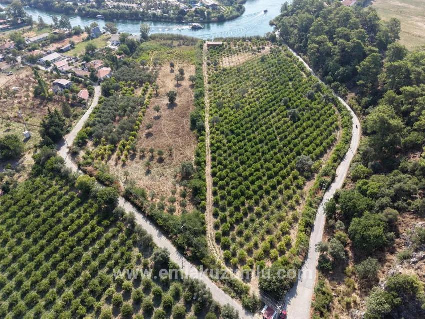 Для продажи Поле в Çandır Köyceğiz - Под Поле застройку - 20.000 m²