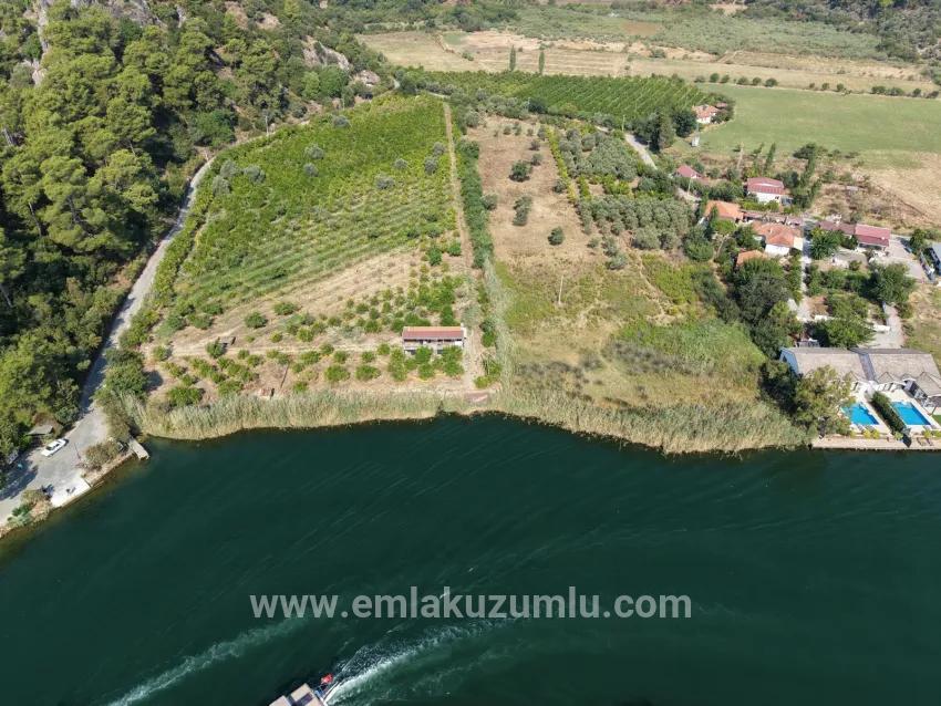 Для продажи Поле в Çandır Köyceğiz - Под Поле застройку - 20.000 m²