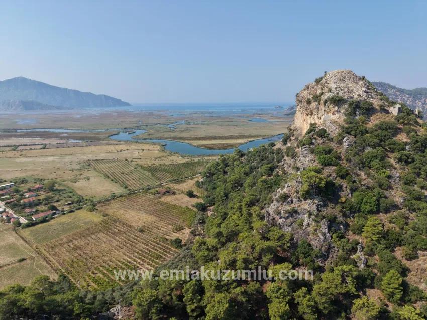 Для продажи Поле в Çandır Köyceğiz - Под Поле застройку - 20.000 m²
